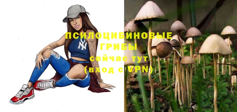 Псилоцибиновые грибы Magic Shrooms  Бахчисарай 